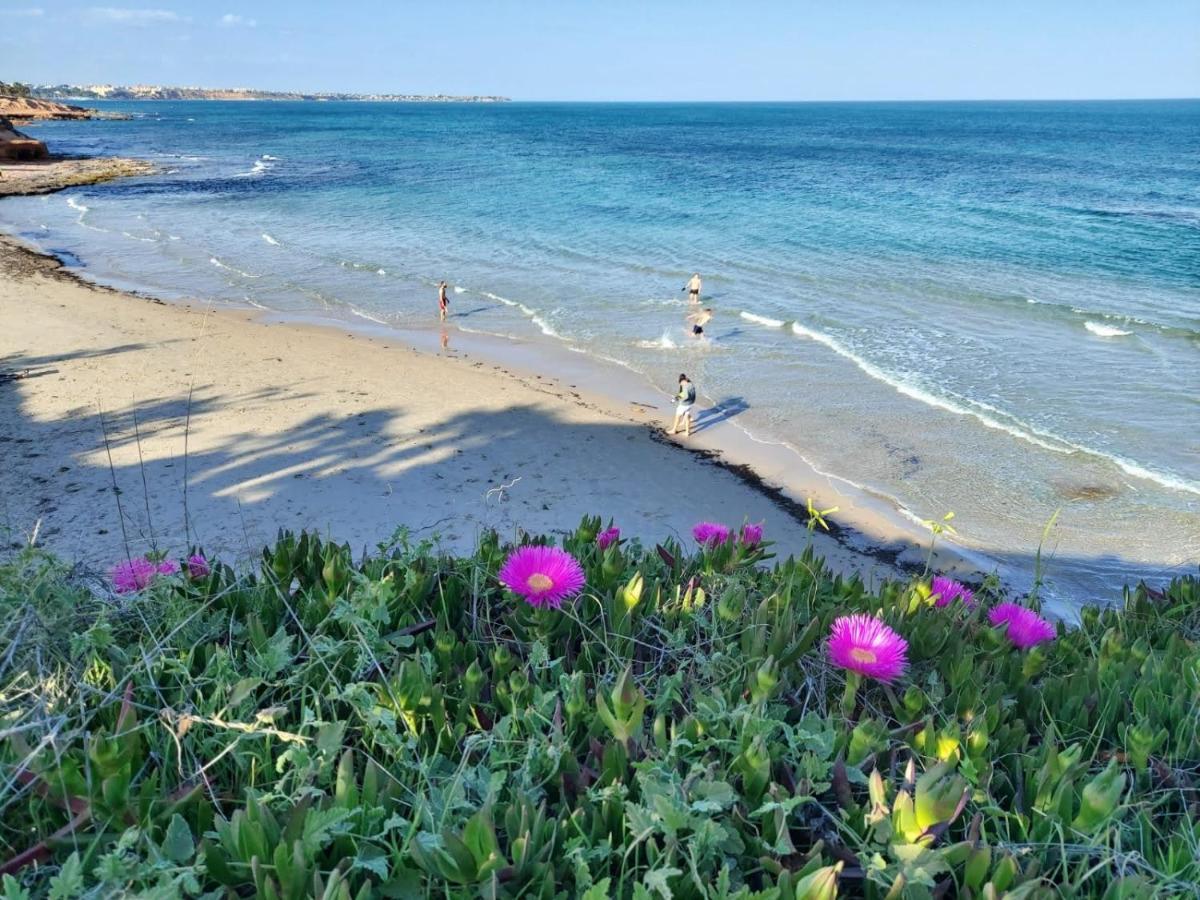 El Apartamento De Papa - Mil Palmeras Dehesa de Campoamor  Bagian luar foto
