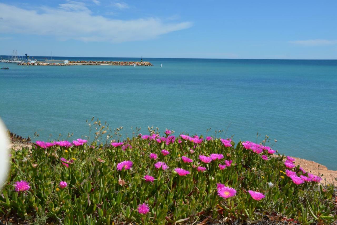 El Apartamento De Papa - Mil Palmeras Dehesa de Campoamor  Bagian luar foto